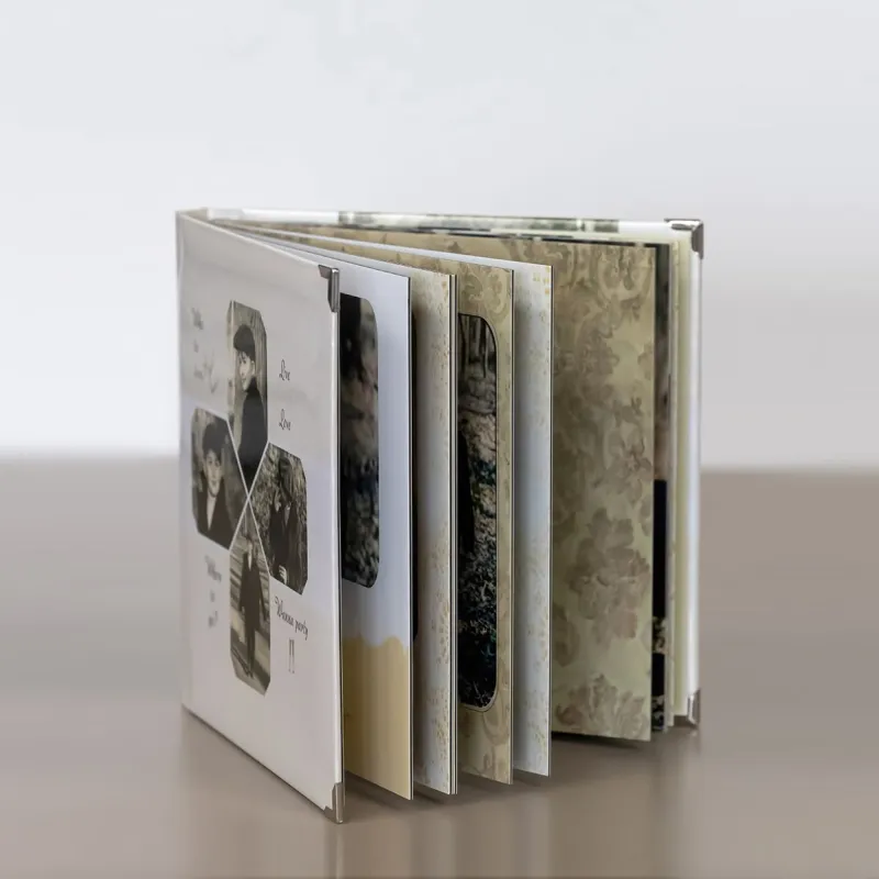 Album Am pierdut buletin