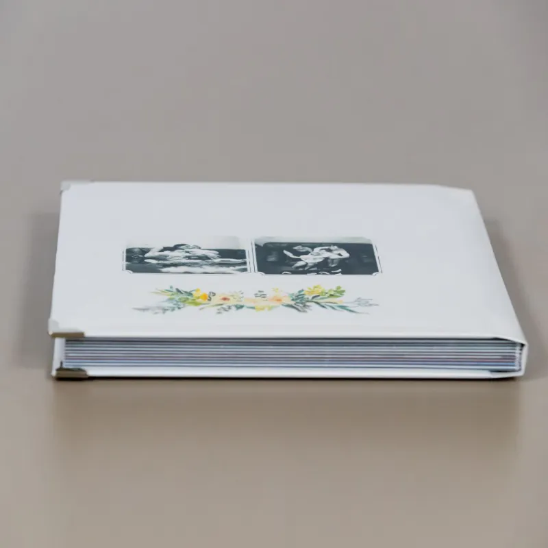 Album Hollywood in familie